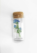Szklany kwiat w butelce - niezapominajka